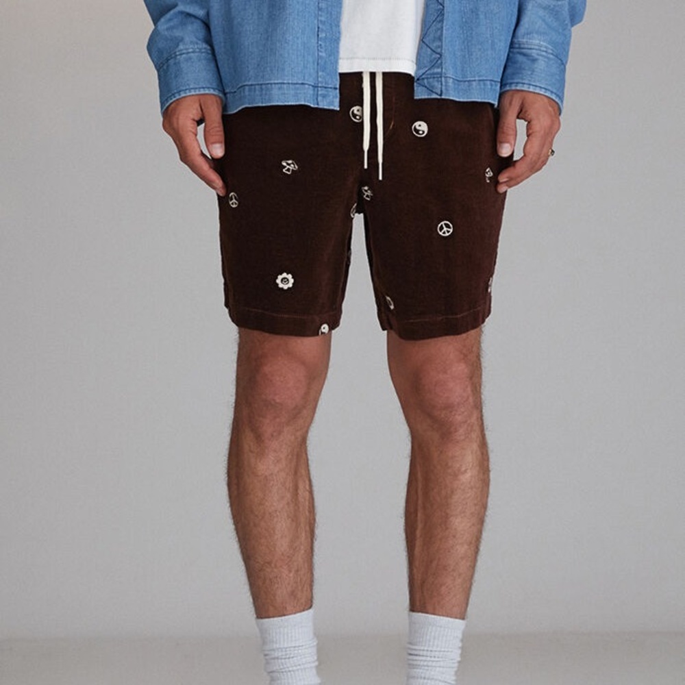 Pacsun Men’s Brown Corduroy Shorts with Embroidered Mushrooms, Flowers | M | NEW - Picture 3 of 7